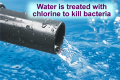 chlorine bacteria kill acid